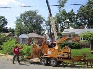 SAB Landscape Tree Service