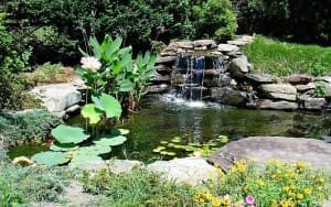Landscaped Pond in a yard