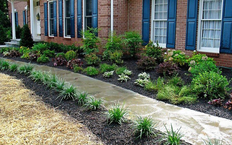 Side of a house that has been landscaped