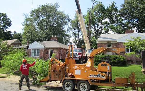 SAB feeding a limb into a wood chipper