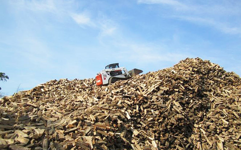 SAB Bobcat on a large pile of Firewood
