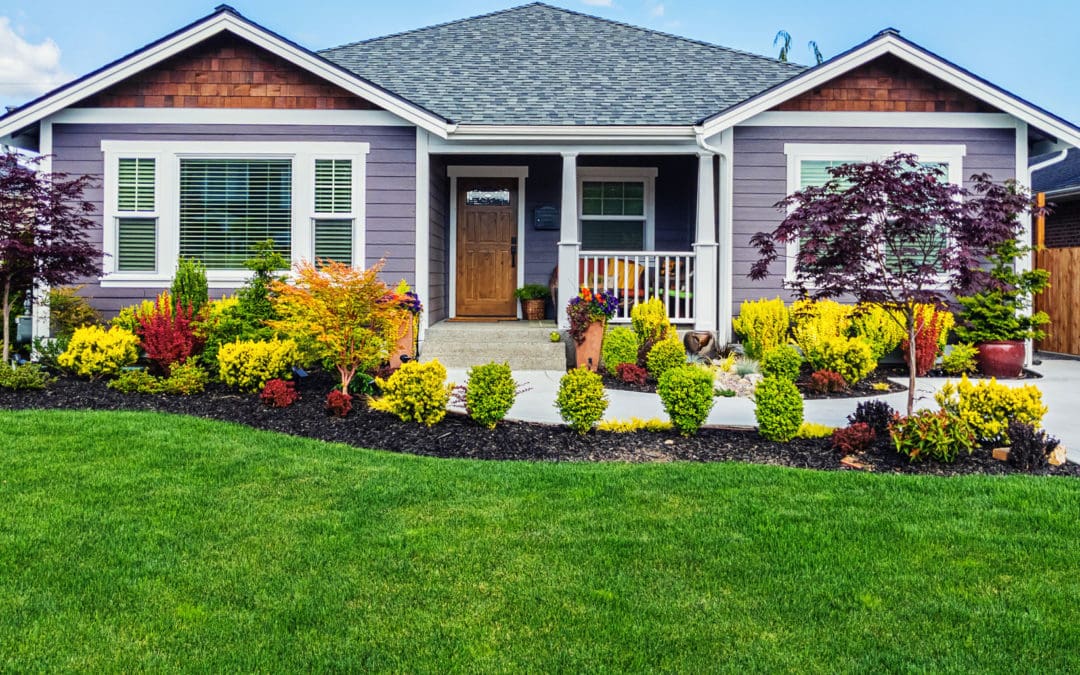 The Benefits of Hiring a Professional Landscaper