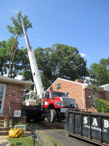 SAB Tree Service Worker feeding a limb into a wood chipper