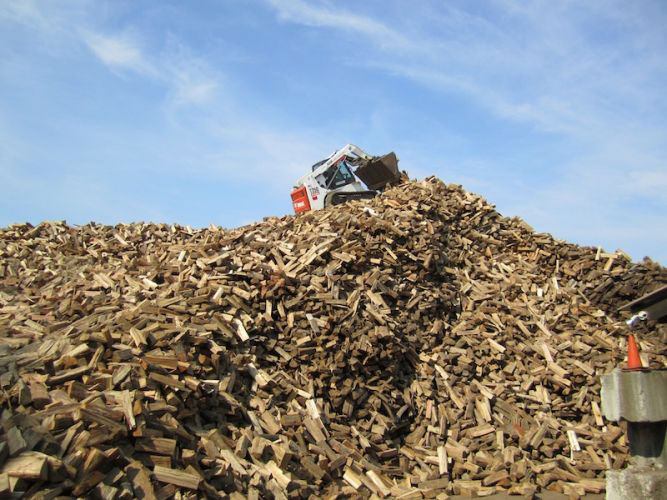 Bobcat loader on a big pile of firewood