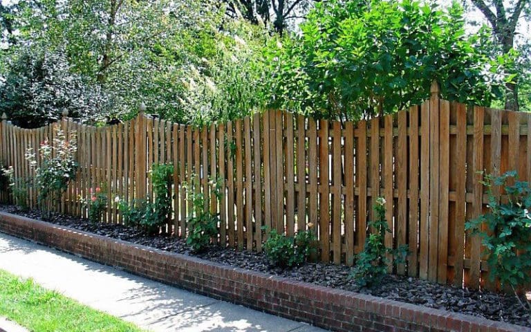 Wood fence with plants planted neatly in front of it