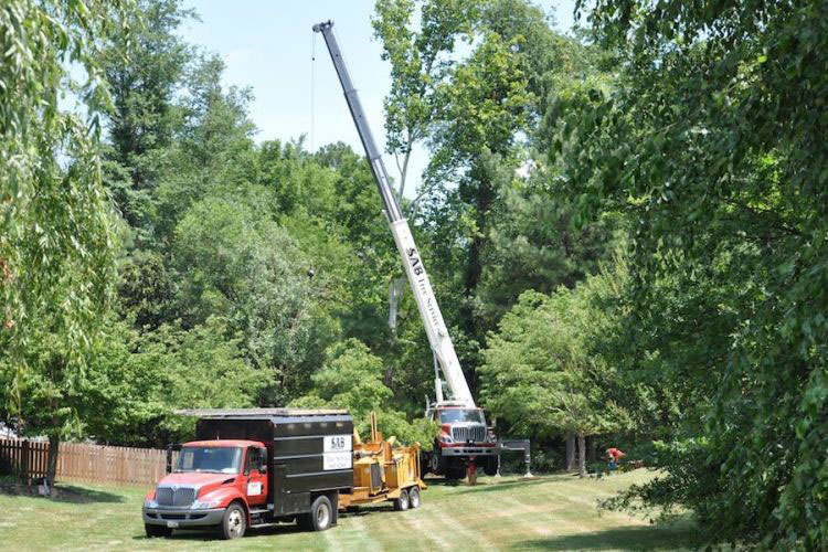 SAB Tree Service Crane Truck and Wood Chipper