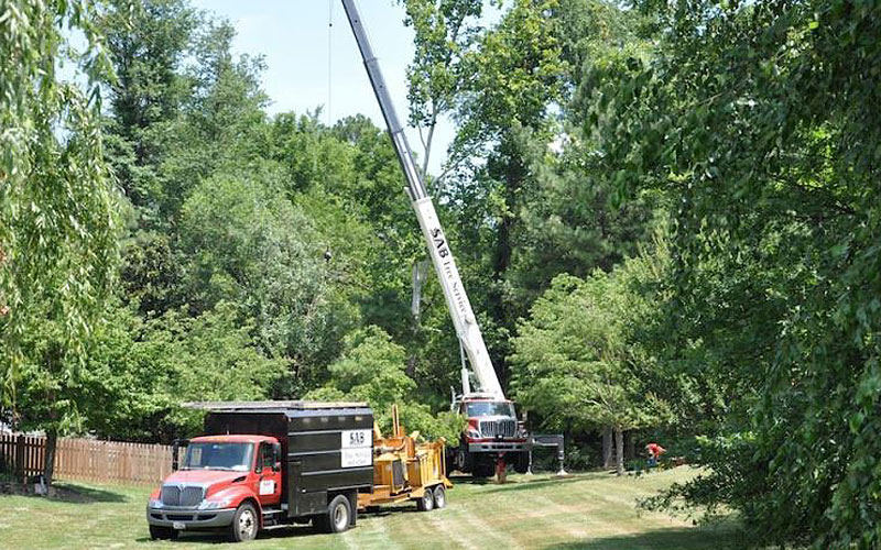 SAB Tree service Crane and Truck