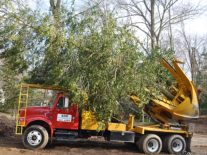 007 Tree Service Crane
