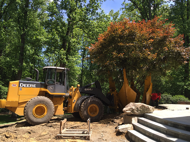 Loader and Tree Spade