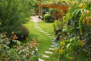 Nice looking green lawn with stone stepped path